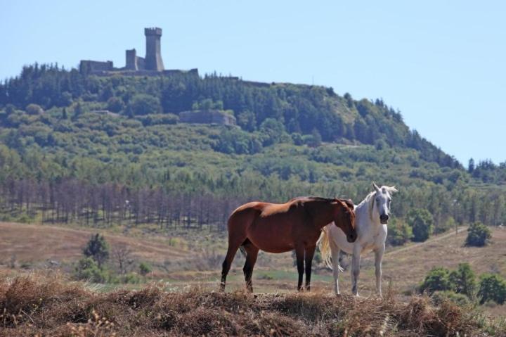 Casa Bandino Apartment Campiglia d'Orcia Bagian luar foto